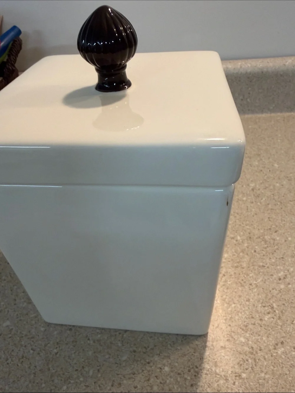 Home Essentials White Ceramic Bathroom Canister with Dark Brown Knob